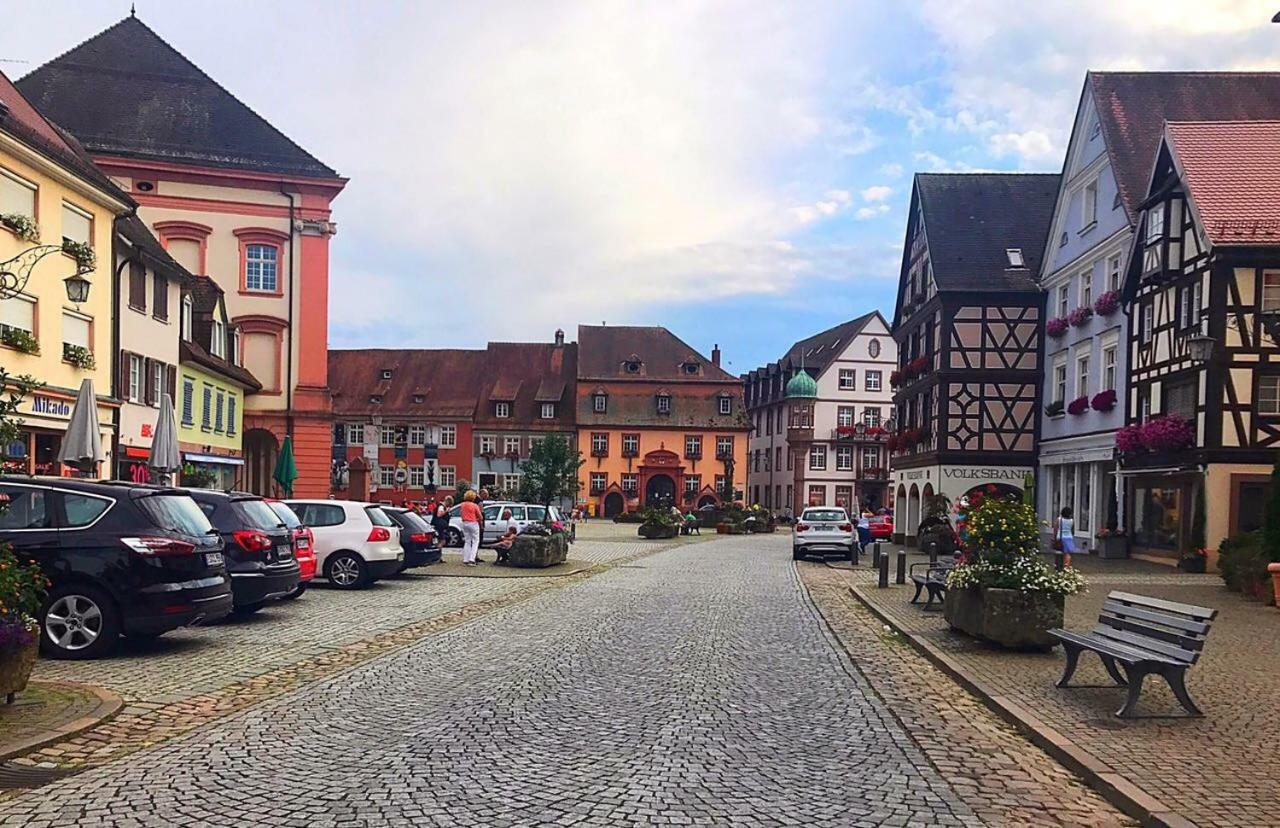 Blackforest Home Gengenbach Nahe Europapark Rust Buitenkant foto
